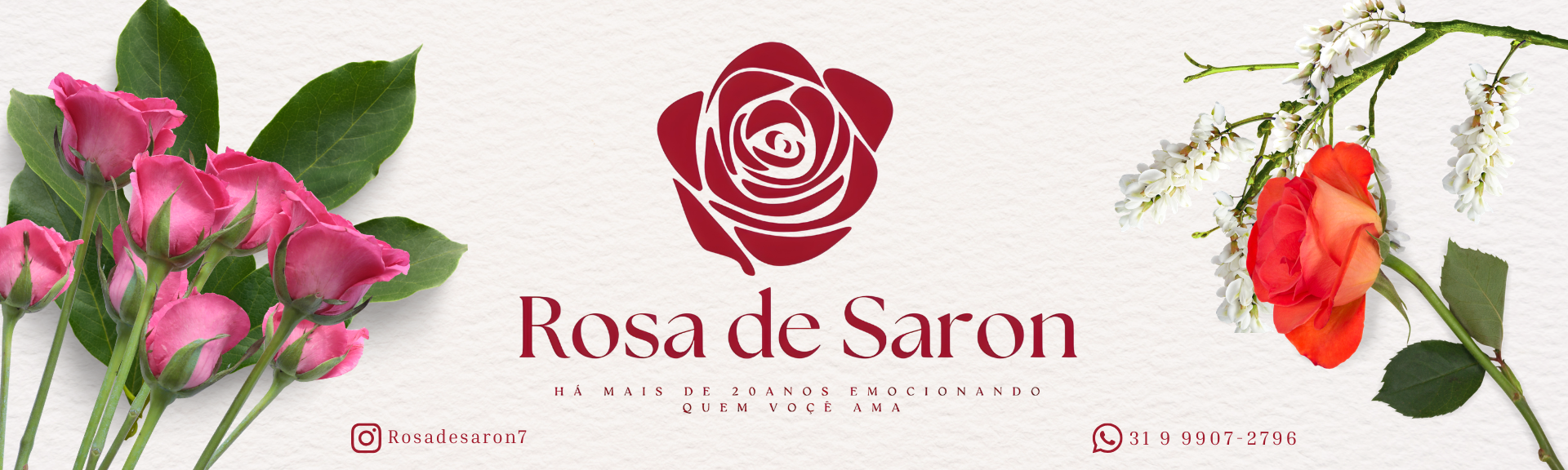rosa de saron